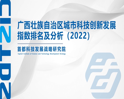 不行了嫩逼出水了肉棒好粗视频【成果发布】广西壮族自治区城市科技创新发展指数排名及分析（2022）